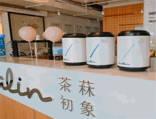 茶菻初象