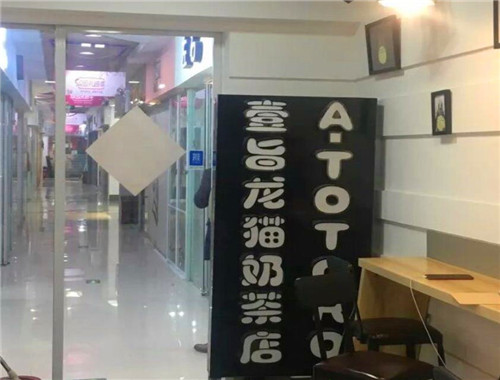 壹旨龙猫奶茶