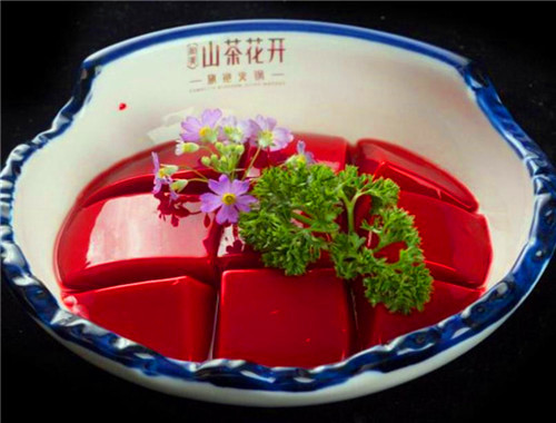 山茶花开旗袍火锅