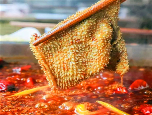 数盘盘毛肚火锅