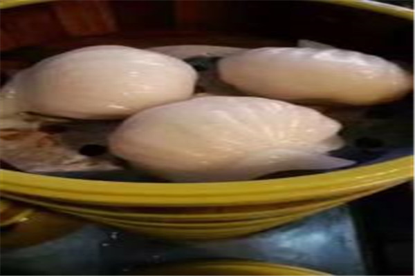 阿婆虾饺粥店