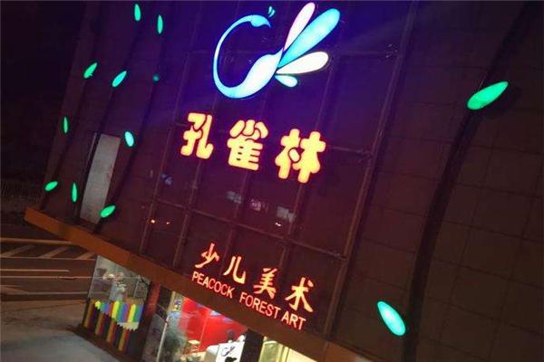 孔雀林少儿美术