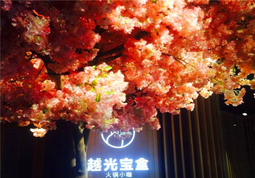 越光宝盒火锅小咖