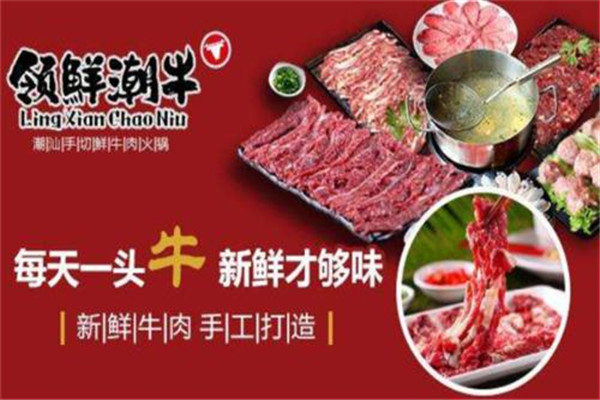 领鲜潮牛牛肉火锅