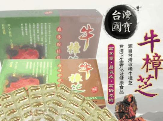 牛樟芝