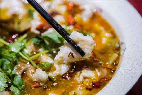 囧小渔酸菜鱼