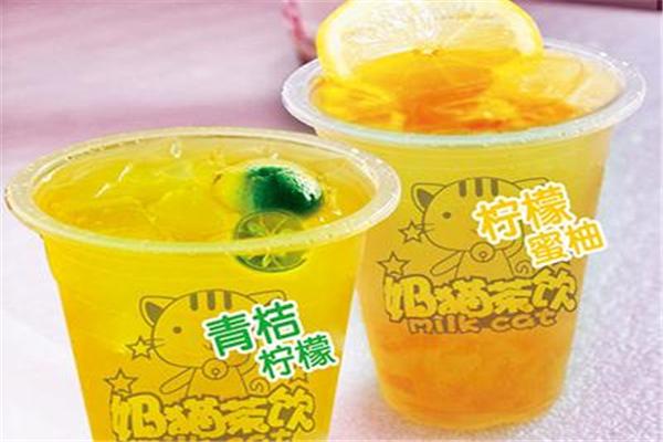 奶猫奶茶