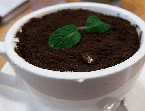 梦妈妈奶茶加盟