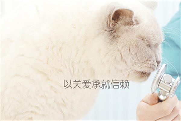 瑞派宠物医院