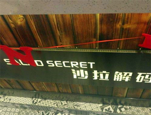 沙拉解码