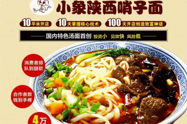 小象陕西哨子面