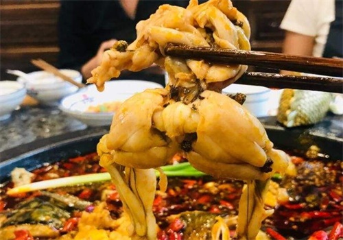 龙门飞鱼美蛙鱼头
