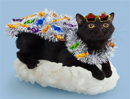 猫之道寿司
