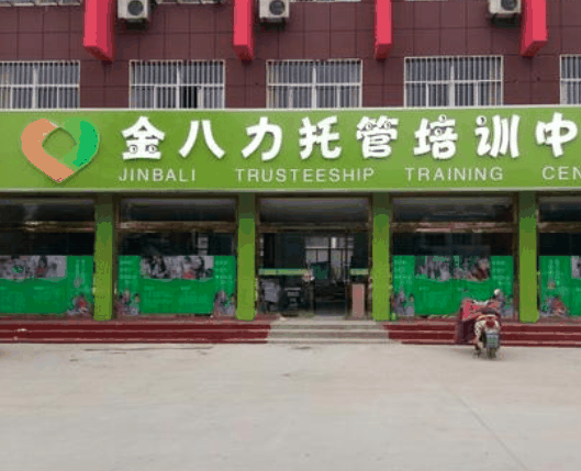 金八力