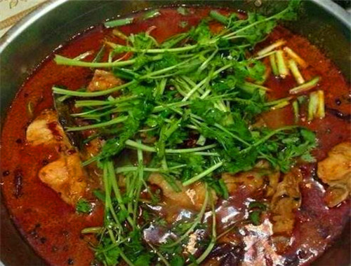 阿婆鱼火锅