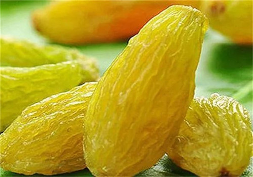 树下休闲食品
