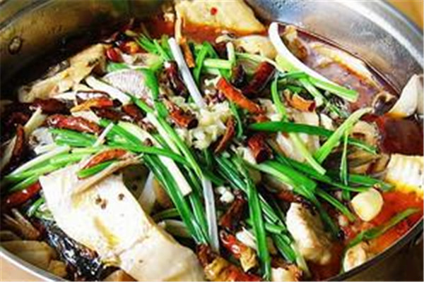 来风鱼加盟