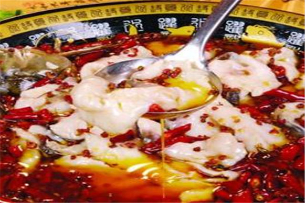 来风鱼加盟
