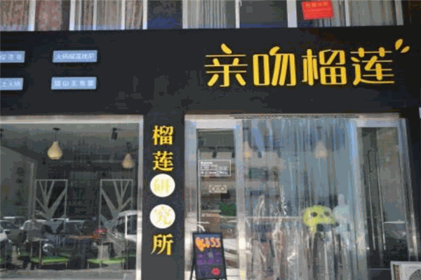 亲吻榴莲