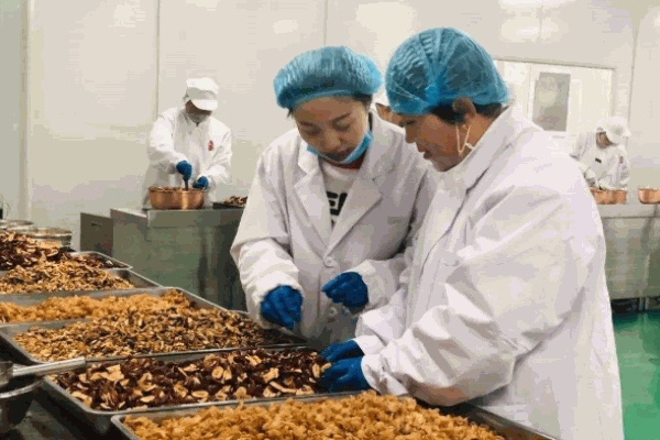 淇淇妈手工熬制阿胶
