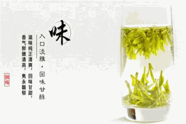 狮牌西湖龙井茶