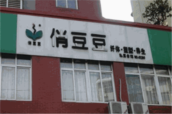 俏豆豆加盟
