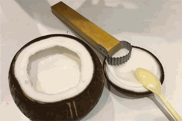 吃货椰子铺