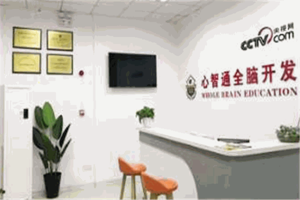 心智通全脑教育