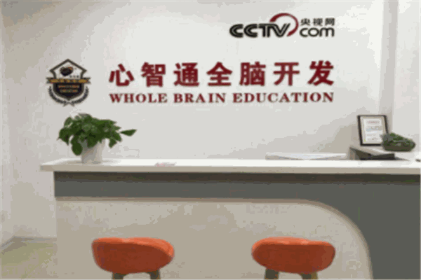 心智通全脑教育