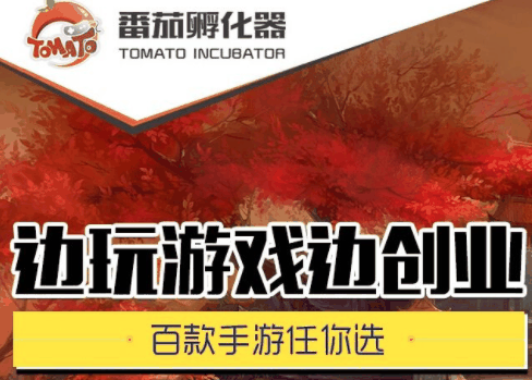番茄孵化器