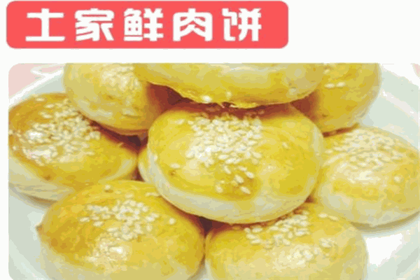 姚记土家鲜肉饼
