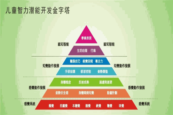 东方金字塔教育