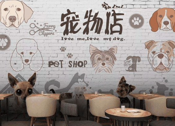 派多格宠物店
