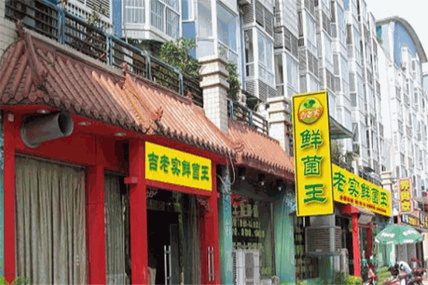 吉老实鲜菌王