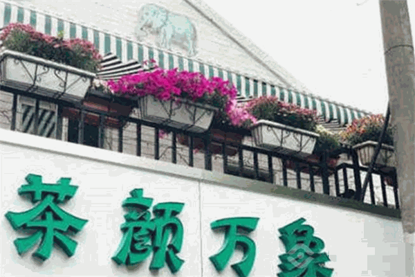 茶颜万象