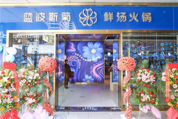 蓝波斯菊鲜汤火锅