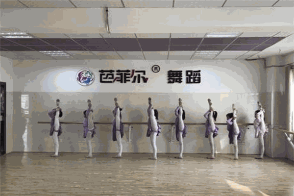 芭菲尔舞蹈