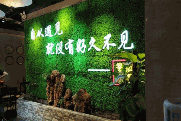 鱼妹蛙哥