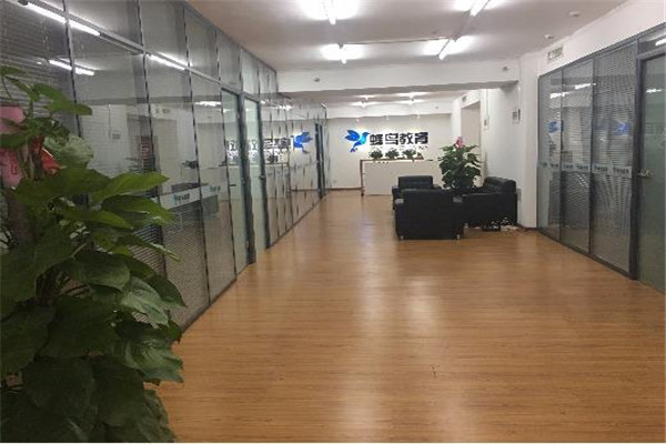 蜂鸟教育加盟