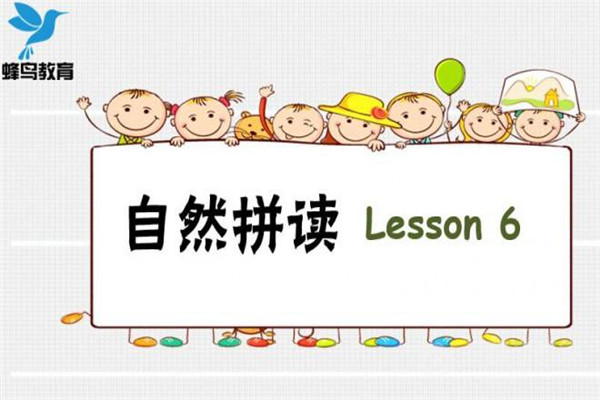 蜂鸟教育加盟
