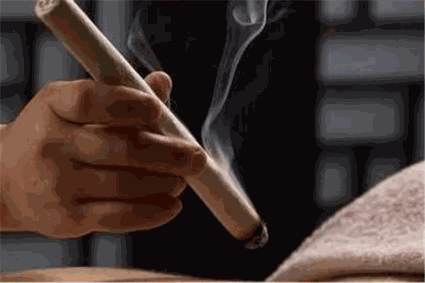 馨蕊美神奇火灸养生减肥技术