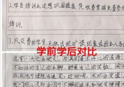 五天练字加盟