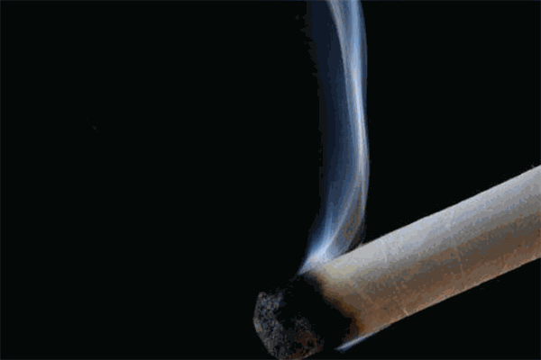 馨蕊美神奇火灸养生减肥技术