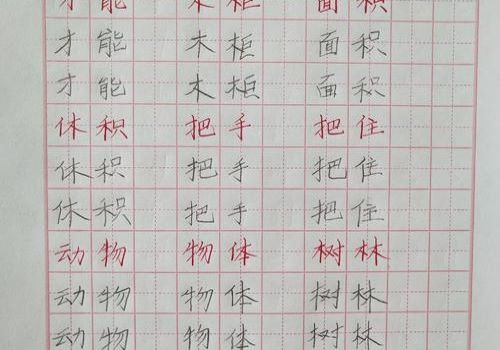 北京中方格练字加盟