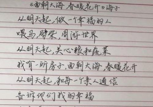 九田字练字学校加盟