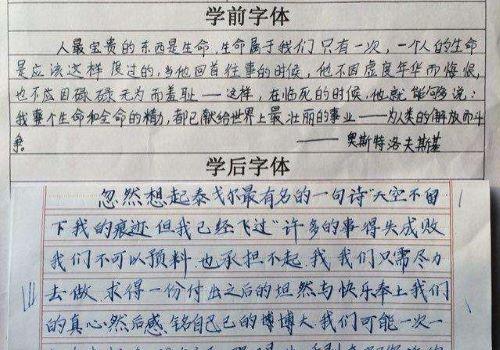 五天练字加盟