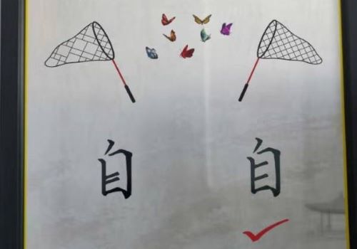 蝶形格练字加盟