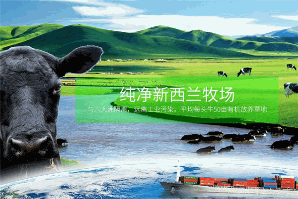 鲜趣超市