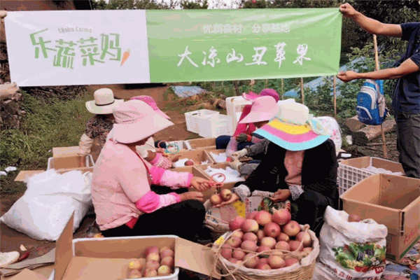 乐蔬菜妈