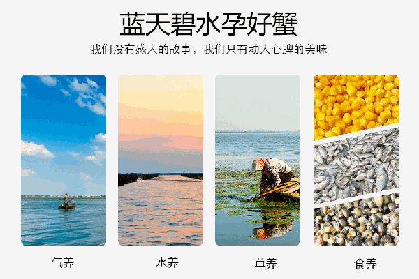 苏霸王大闸蟹加盟